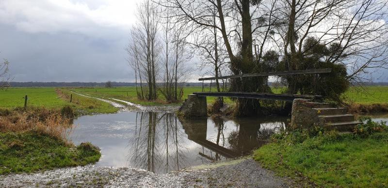 Charming Cottage Du Marais Dday Omaha Beach Canchy  외부 사진